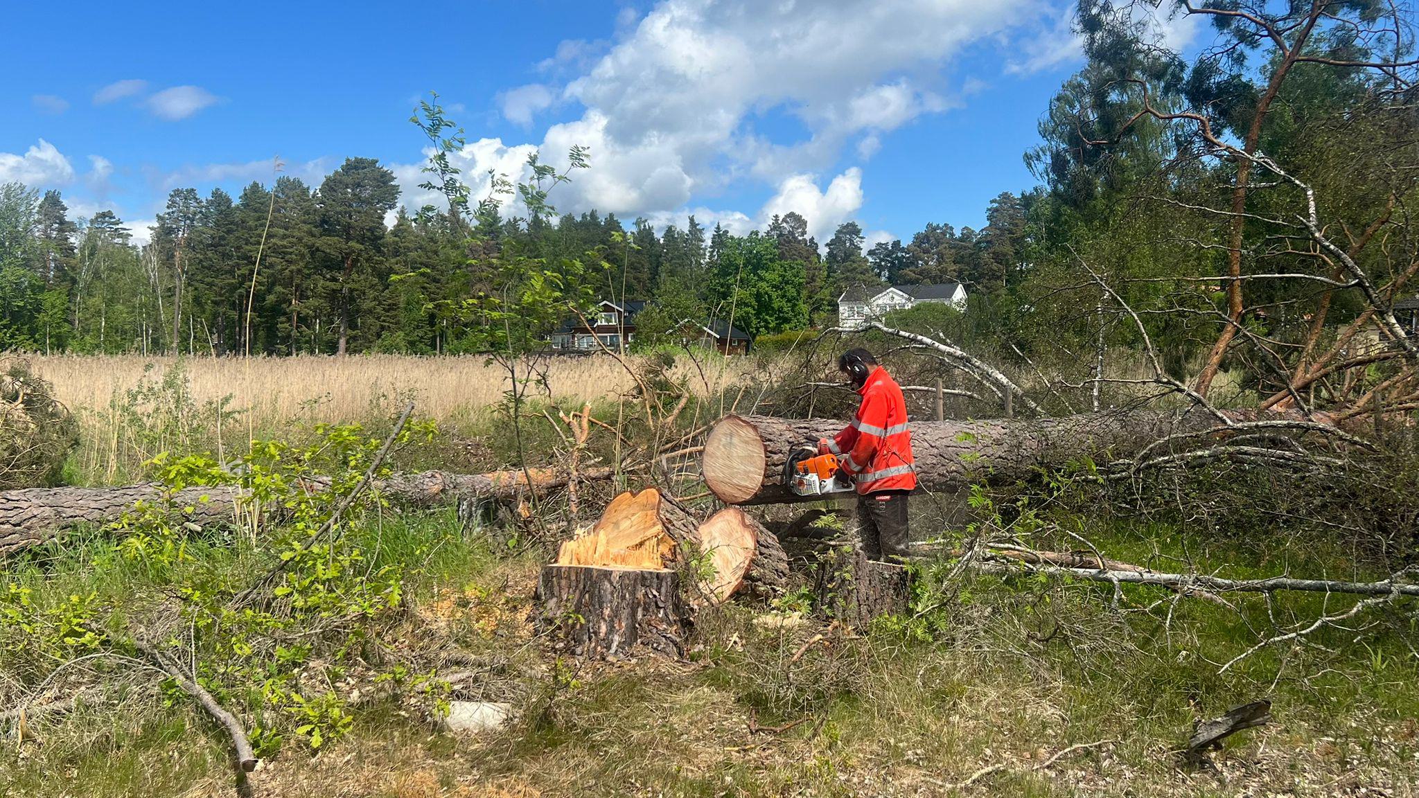 WhatsApp Image 2025-06-19 at 22.05.43