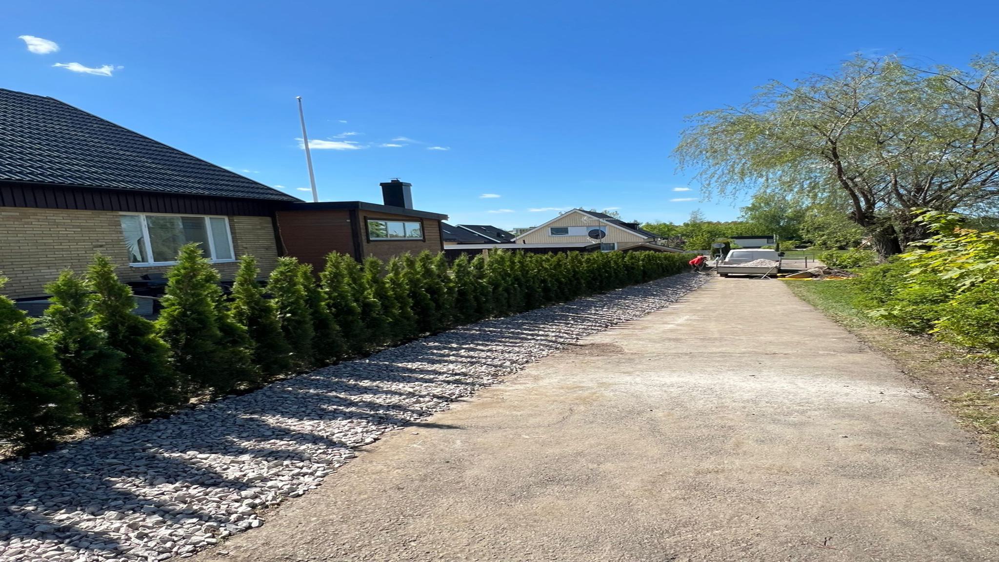 WhatsApp Image 2025-06-19 at 22.05.44 (1)