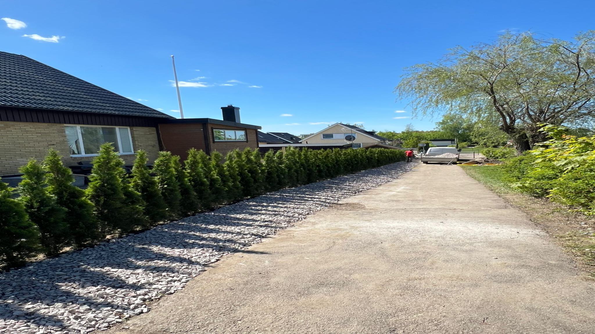 WhatsApp Image 2025-06-19 at 22.05.45