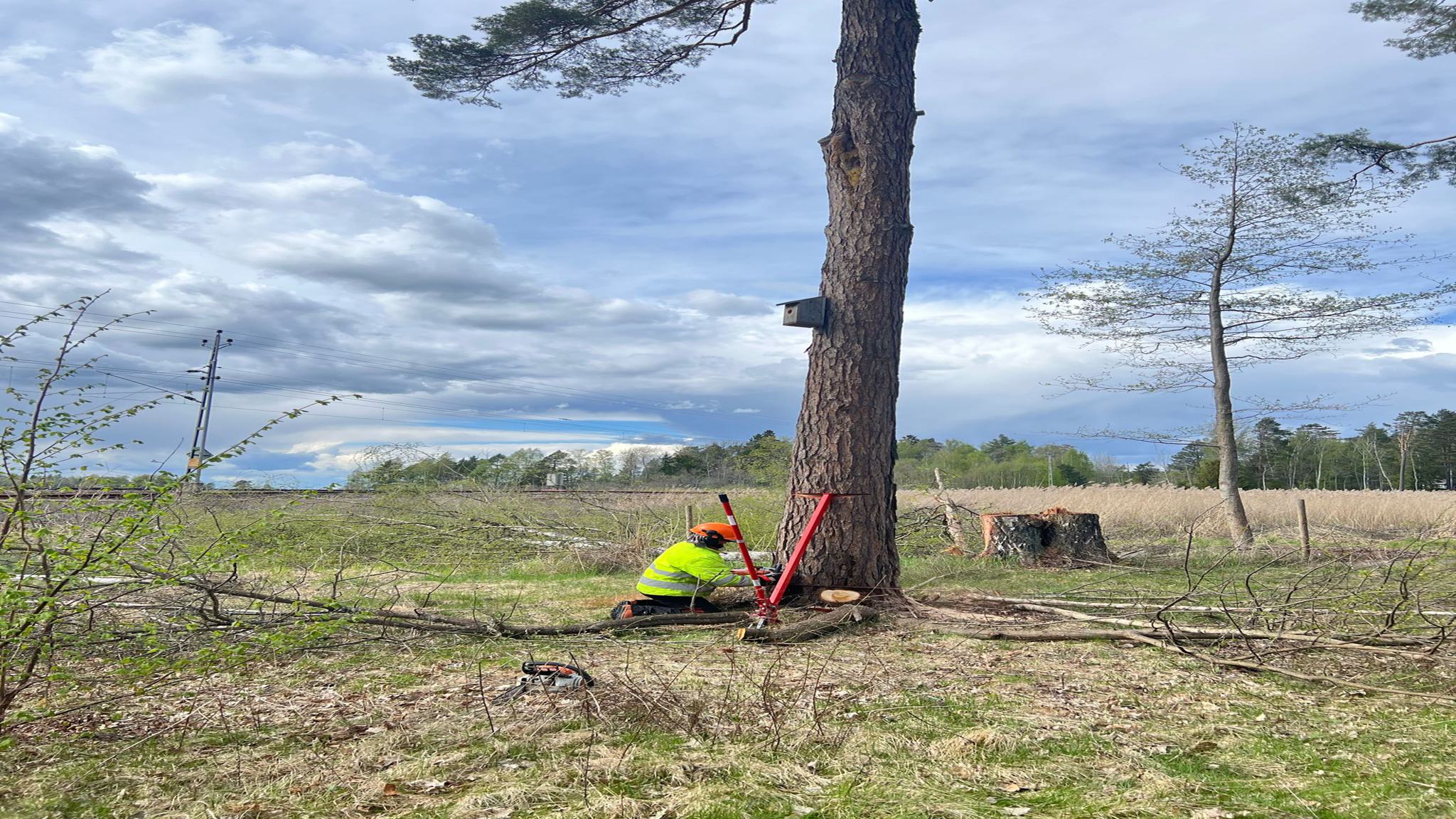 WhatsApp Image 2025-06-19 at 22.05.47