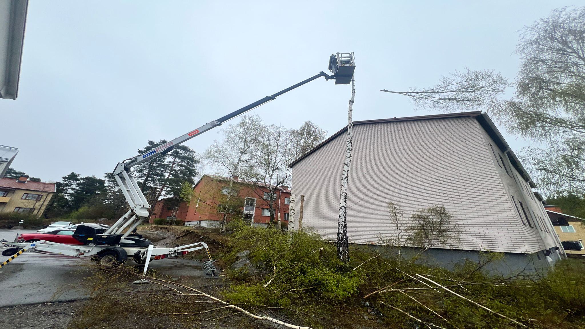 WhatsApp Image 2025-06-19 at 22.05.48 (5)