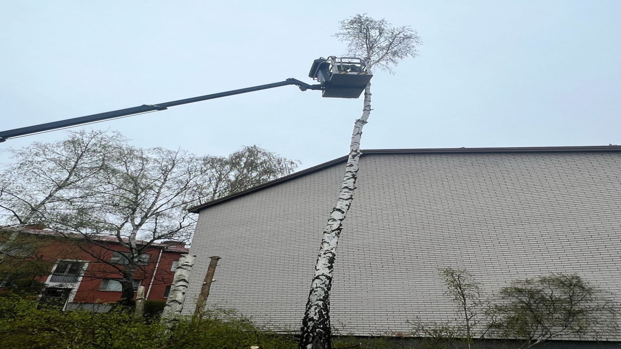 WhatsApp Image 2025-06-19 at 22.05.48