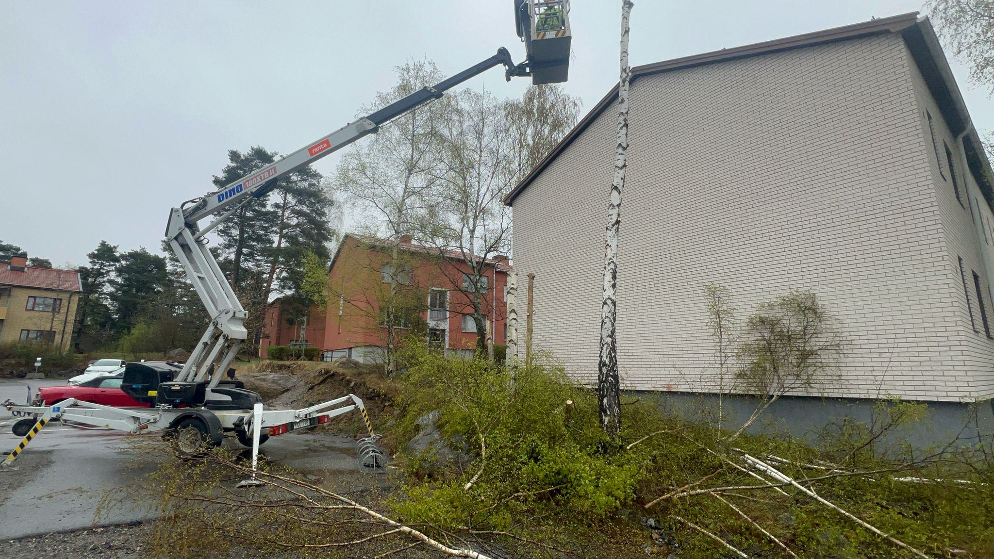 WhatsApp Image 2025-06-19 at 22.05.49